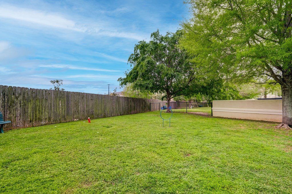 A backyard with a wooden fence and a green lawn.